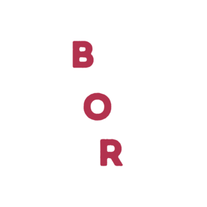 AIPolo - Bölcsesség Olykor Ragályos (BOR)