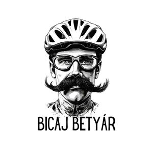 AIPolo - Bicaj Betyár