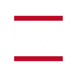 AIPolo - RUN CMD