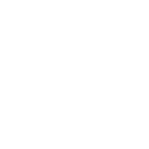 AIPolo - Kamionos logo (sötétre)