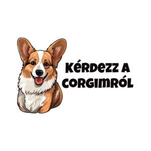 AIPolo - Kérdezz a Corgimról