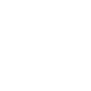 AIPolo - Geek, a binary lifestyle